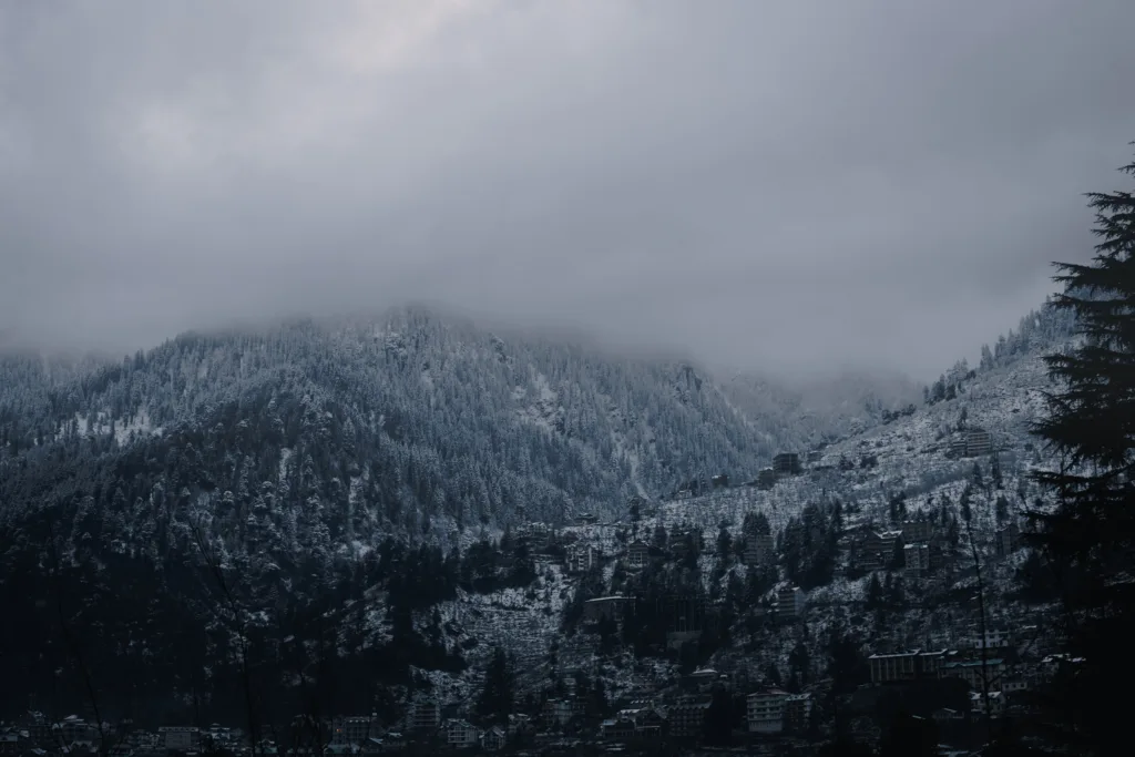 Murree hill station road through pine forest