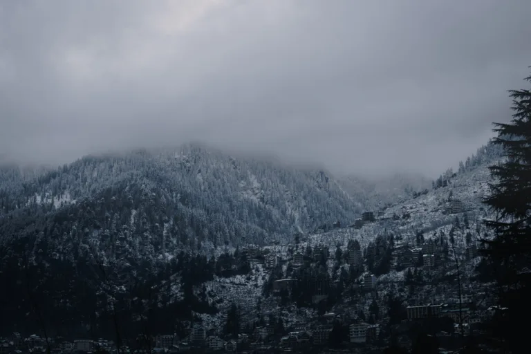 Murree hill station road through pine forest