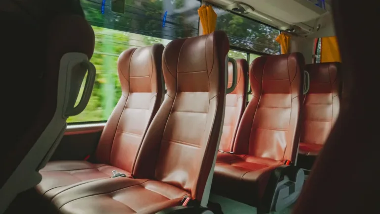 Rows of empty reclining leather seats inside a coach, with green trees blurred through the side windows