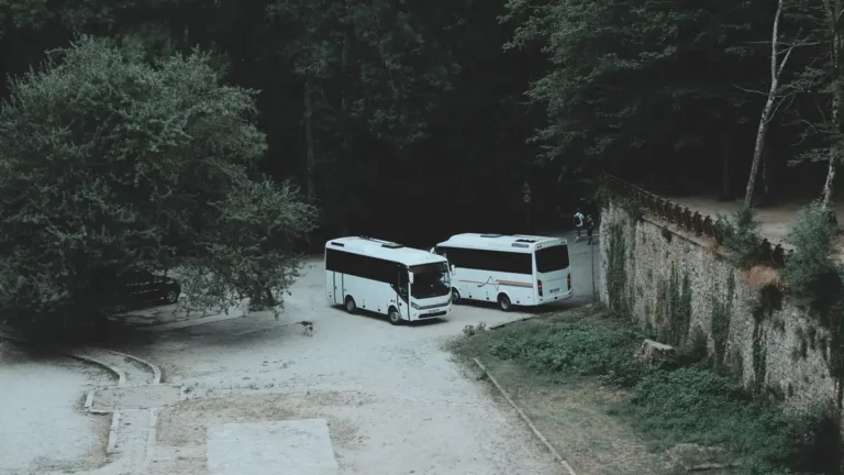 Two white minibuses parked on a quiet paved road beside an old stone wall and trees, seen from above