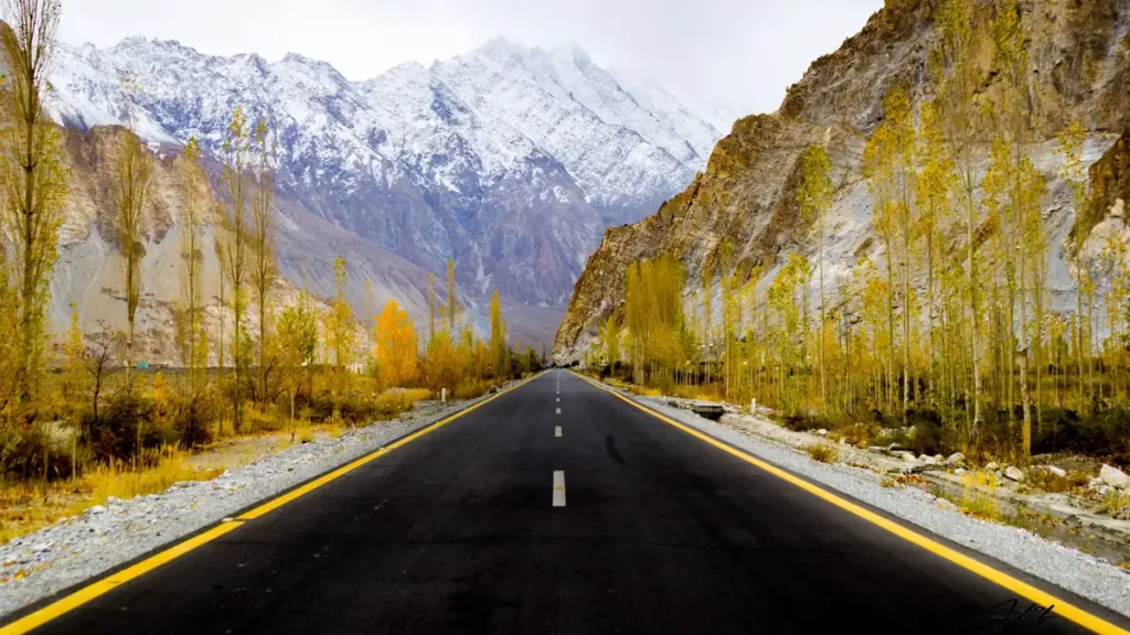 Empty paved mountain road lined with yellow autumn poplars, leading towards snow-capped peaks under a clear sky