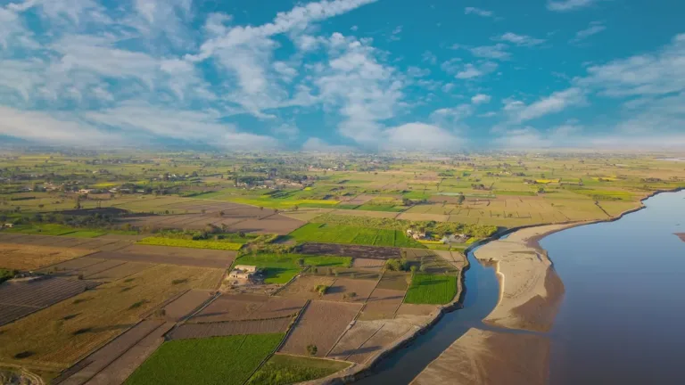 Aerial view of green farm fields beside a wide river bend in Punjab, Pakistan, under a bright blue sky